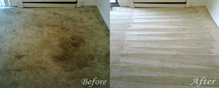 Carpet cleaning