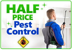 half-price-pest-control